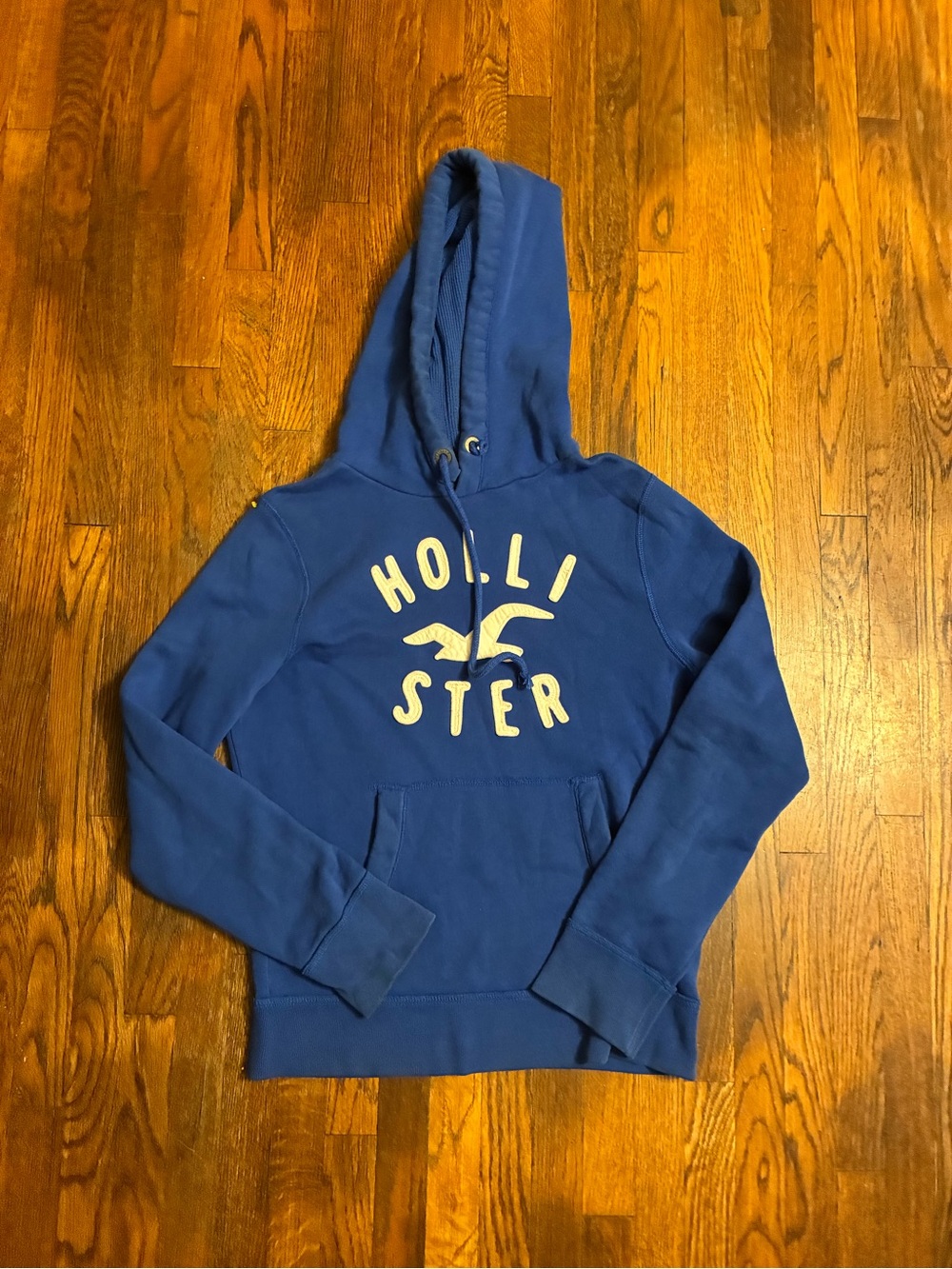 Y2K hollister hoodie size women’s medium